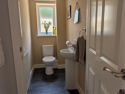 Picture 21